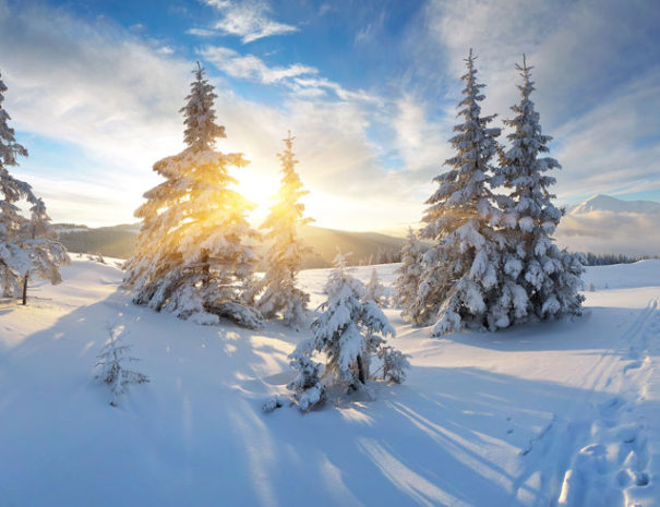 Morning panorama of mountains